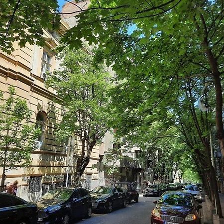 Apartment 51 - Bright, Spacious, Lux 1 Bedroom In The City Center - Stari Grad Белград Екстер'єр фото