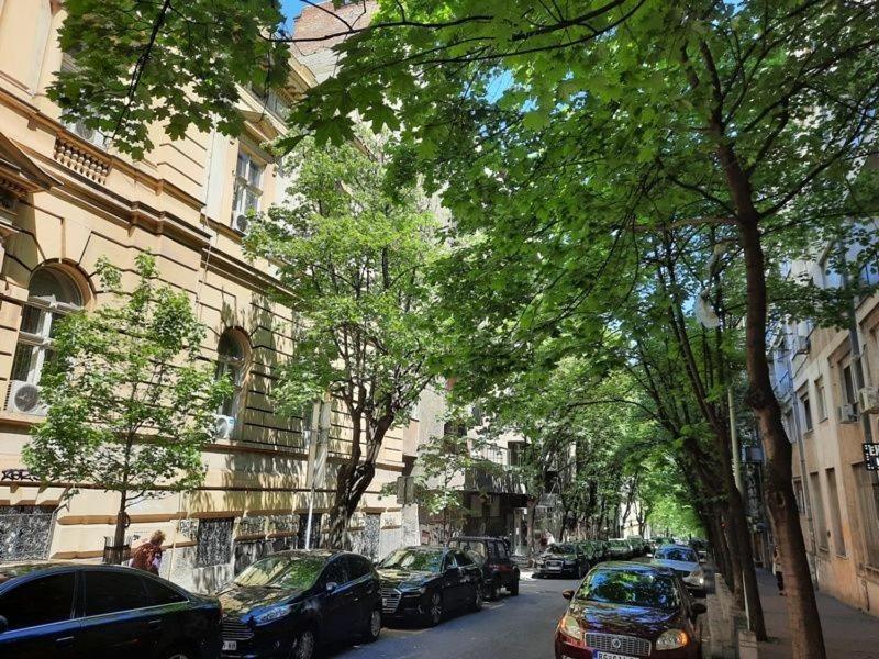 Apartment 51 - Bright, Spacious, Lux 1 Bedroom In The City Center - Stari Grad Белград Екстер'єр фото